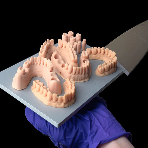 Dental Models